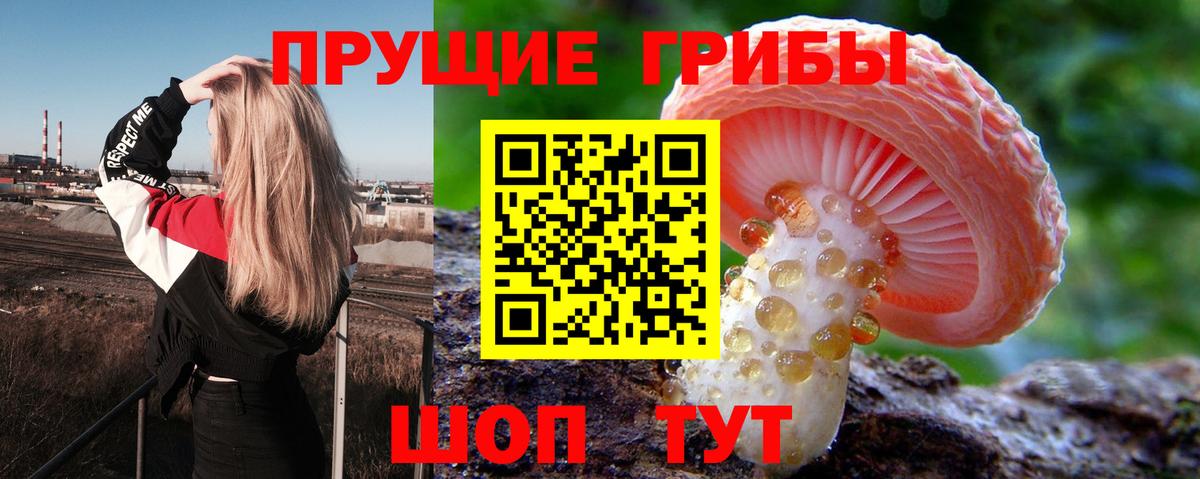 как найти   Вход с VPN  Чебаркуль  Псилоцибиновые грибы Magic Shrooms 